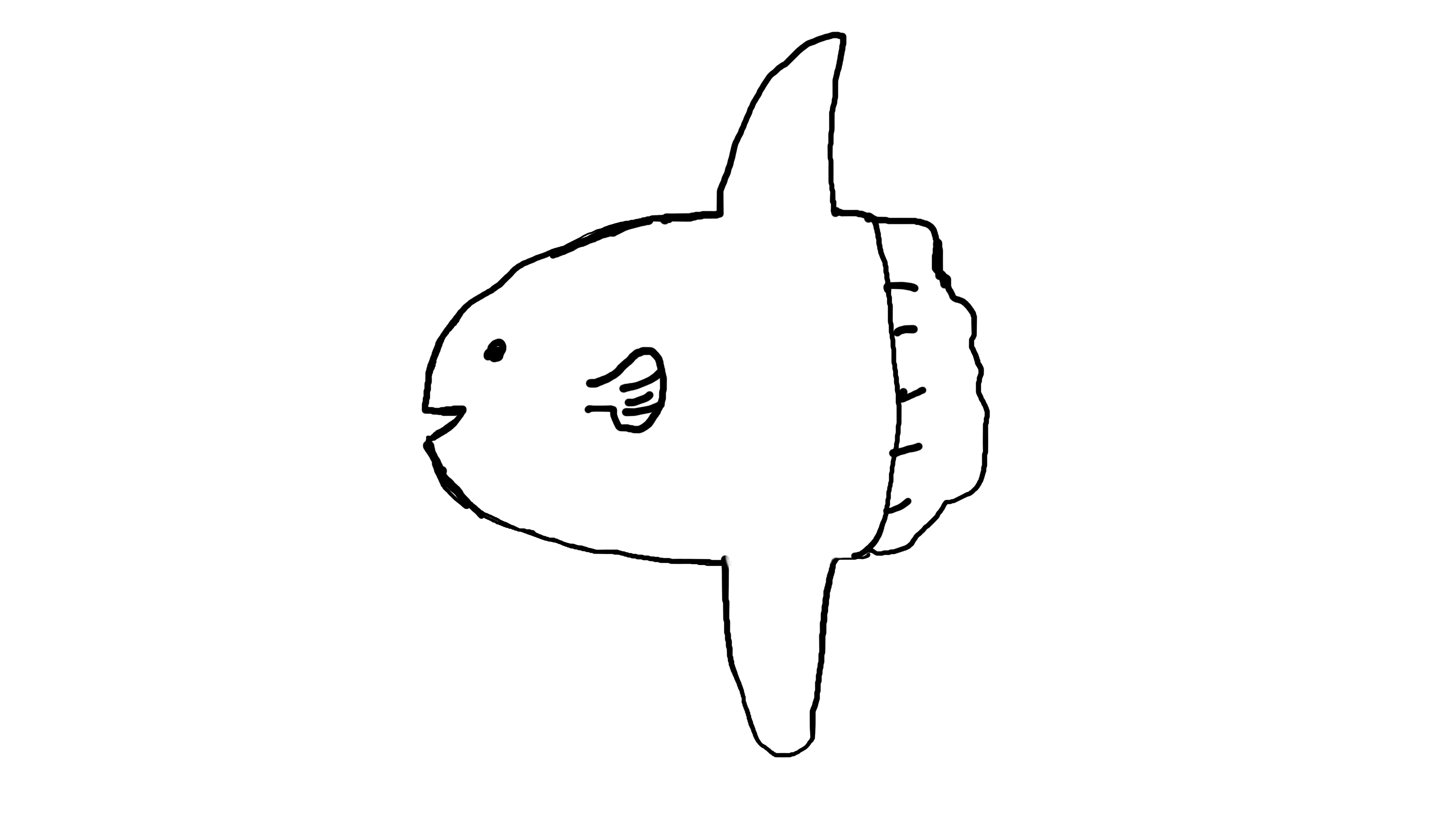 The Sunfish